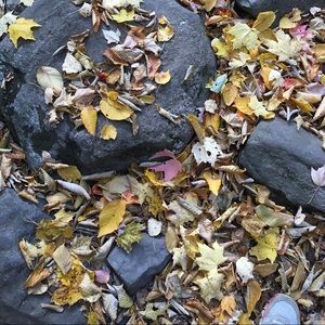 Meet your Posher, Sue