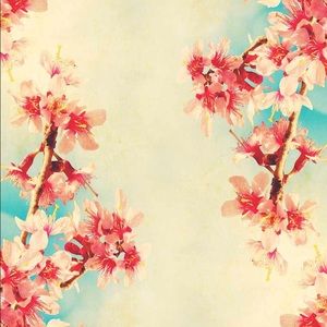 Meet your Posher, Danasha