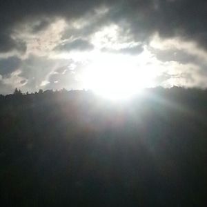 Meet your Posher, Darrell