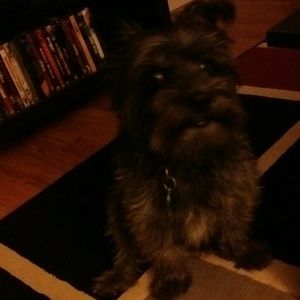 Meet your Posher, Teresa