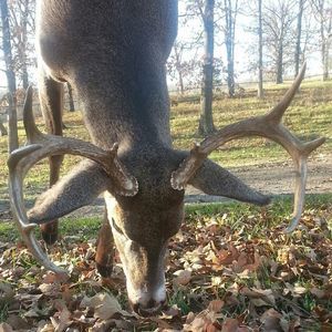 Meet your Posher, Jamie