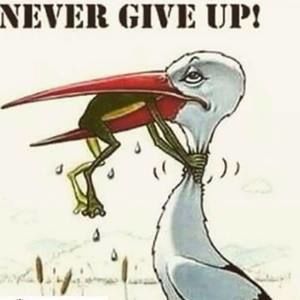 Meet your Posher, Paula