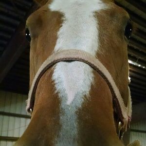 Meet your Posher, Meagan