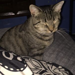 Meet your Posher, Angelique