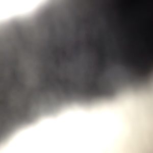 Meet your Posher, Catalina