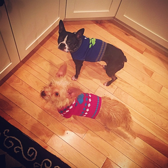 Meet your Posher 🦄 - Picture 4 of 4