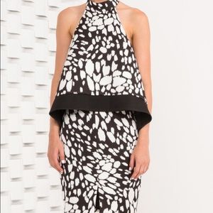 New world dress animal black Keepsake.NWT. S.