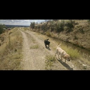 Meet your Posher, Margaret