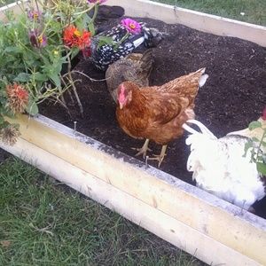 Meet your Posher, Sandra