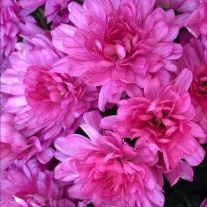 Meet your Posher, Isaiah