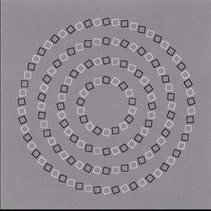 Meet your Posher, Briannan