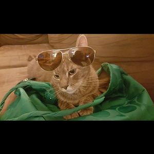 Meet your Posher, Allyson