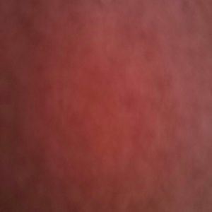 Meet your Posher, Lenora