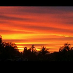 Meet your Posher, Danelle