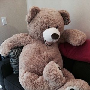 Meet your Posher, Caitlin