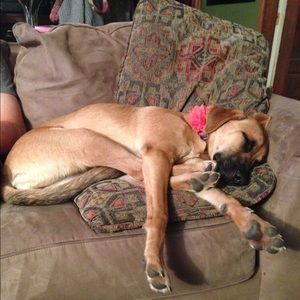 Meet your Posher, Casey