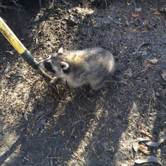 Meet your Posher, Rees - Picture 1 of 1