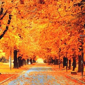 Meet your Posher, Esme