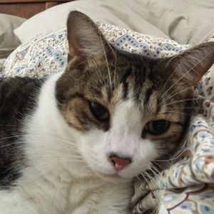 Meet your Posher, Heidi