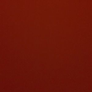 Meet your Posher, Lizbeth