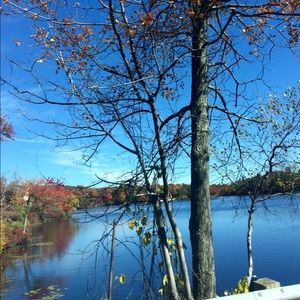 Meet your Posher, Dana