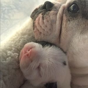 Meet your Posher, Tabitha