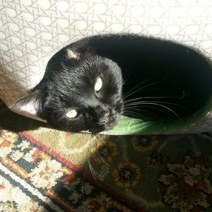 Meet your Posher, Maribel