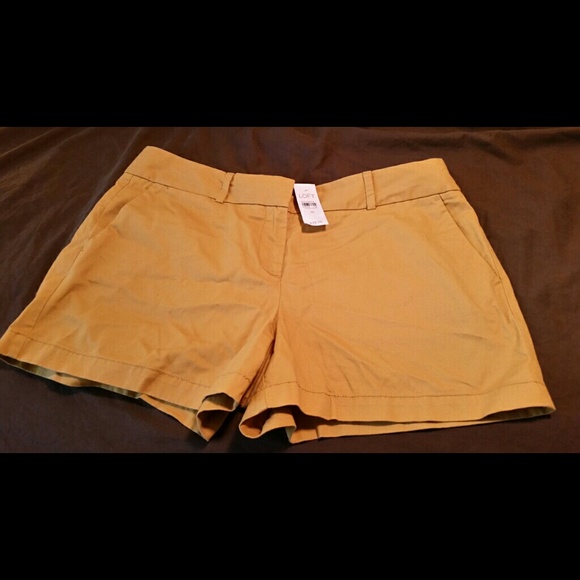 Women Shorts Loft