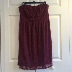 NWT Stretch Lace Tube Dress