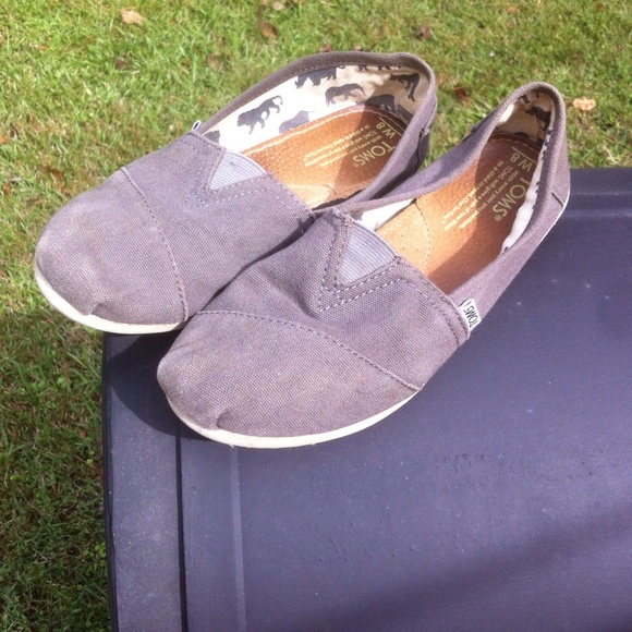 TOMS