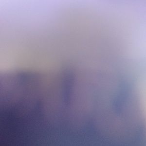 Meet your Posher, Elvis