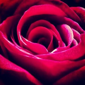 Meet your Posher, Juli