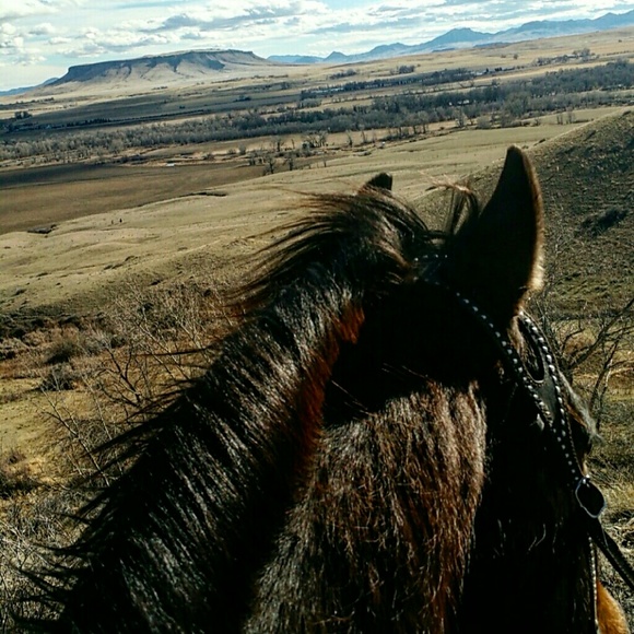 Meet your Posher, Jamie - Picture 4 of 4