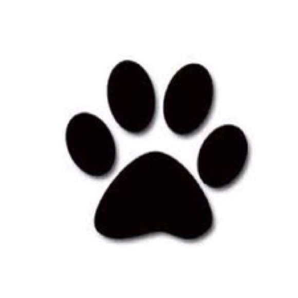 Brooklyn Gal's Closet - Picture 3 of 3