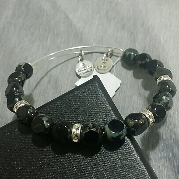 Alex and Ani Jewelry - NWT Alex & Ani Jet Set Eden Black Bangle Silver