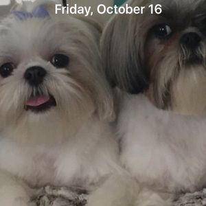 Meet your Posher, Lora lee