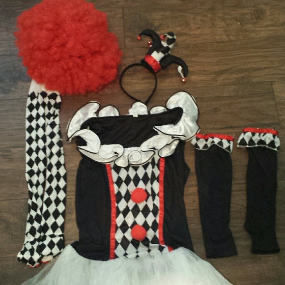 MAD HATTER costume including WIG!