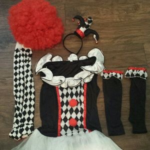 MAD HATTER costume including WIG!