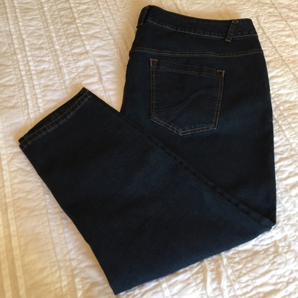 Lane Bryant plus size skinny jeans petite