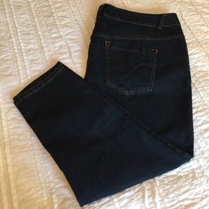 Lane Bryant plus size skinny jeans petite