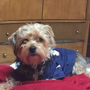 Meet your Posher, Gail