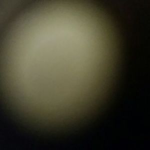 Meet your Posher, Holly