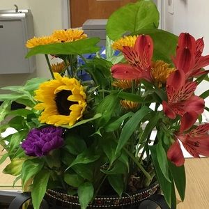 Meet your Posher, Michelle