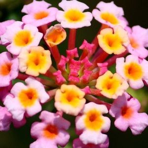 Meet your Posher, Marta