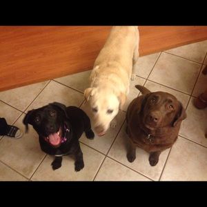 Meet your Posher, Kristen