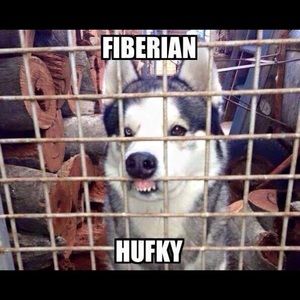 Meet your Posher, Rene