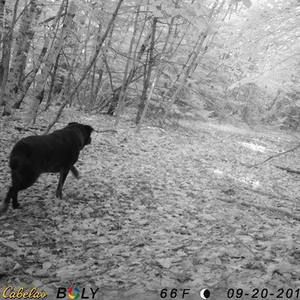 Meet your Posher, Margaret