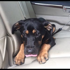 Meet your Posher, Hannah