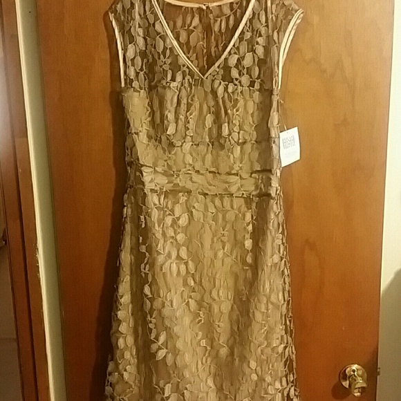 Taupe/Gold Dress