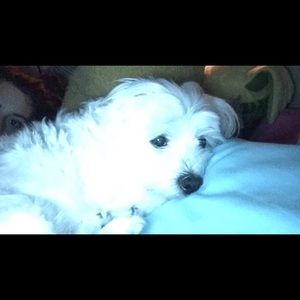 Meet your Posher, Kay